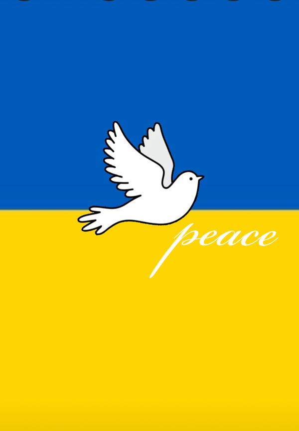 Bild vergr&ouml;&szlig;ern: Ukraine peace