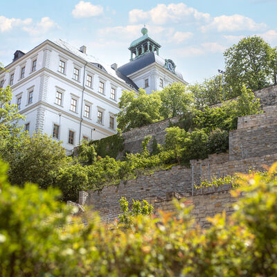 Bild vergr&ouml;&szlig;ern: Schloss Neu-Augustusburg