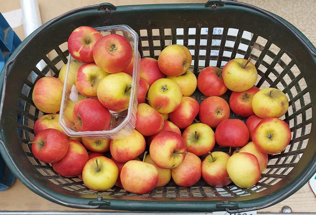 &Auml;pfel im Korb