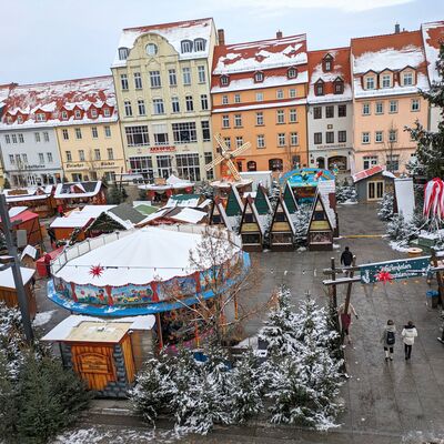 Bild vergr&ouml;&szlig;ern: Weihnachtsmarkt Weihnachtsb&auml;ume