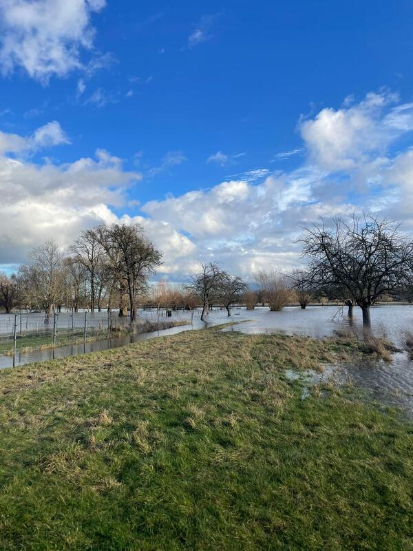 Bild vergr&ouml;&szlig;ern: Hochwasser