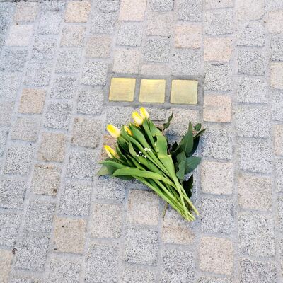 Bild vergr&ouml;&szlig;ern: Stolpersteine