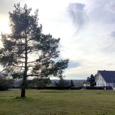 Bild vergr&ouml;&szlig;ern: Ro&szlig;bacher Stra&szlig;e 8_8