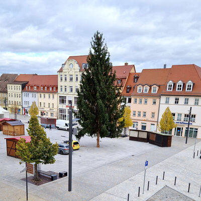 Bild vergr&ouml;&szlig;ern: Weihnachtsmarkt 2023
