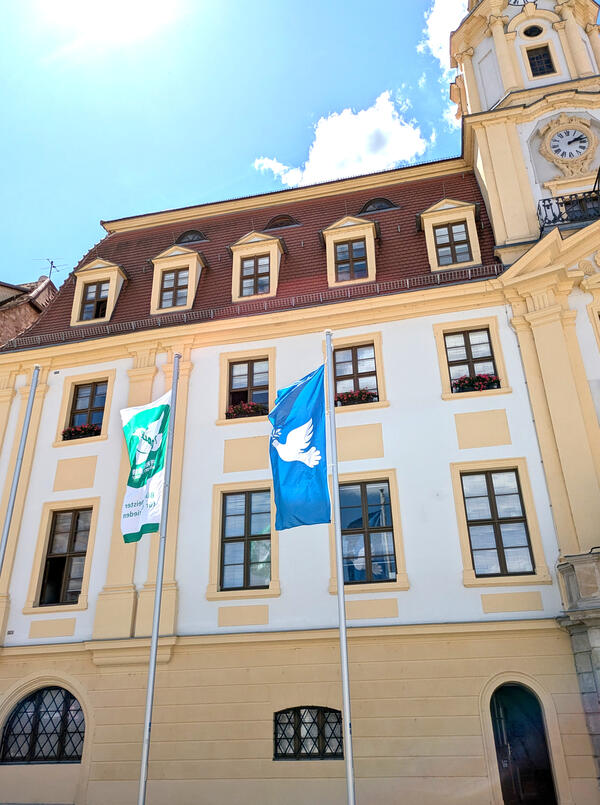 Bild vergr&ouml;&szlig;ern: Flaggentag der Mayors for Peace am 8. Juli 2024