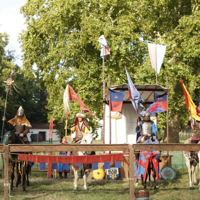 Bild vergr&ouml;&szlig;ern: Ritterspiele Historischer Markt_Anne Kasten