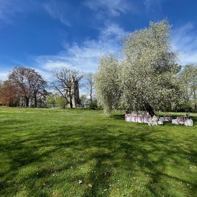 Bild vergr&ouml;&szlig;ern: Standesamt_Bismarckturm_Wiese_1