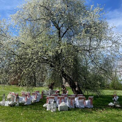 Bild vergr&ouml;&szlig;ern: Standesamt_Bismarckturm_Wiese_3