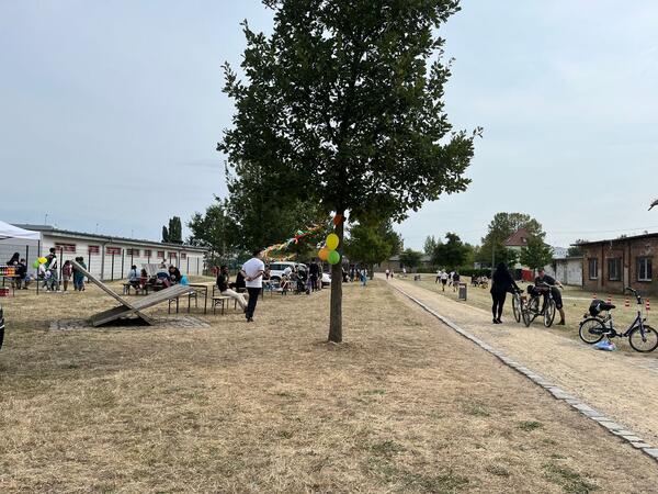 Bild vergr&ouml;&szlig;ern: Sportfest im Neustadtpark