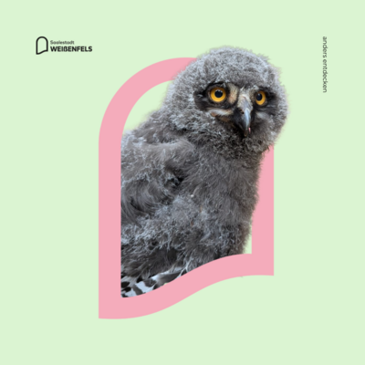 Bild vergrößern: Heimatnaturgarten