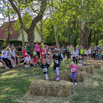 Bild vergr&ouml;&szlig;ern: Lauf gegen Gewalt Bambini-Lauf