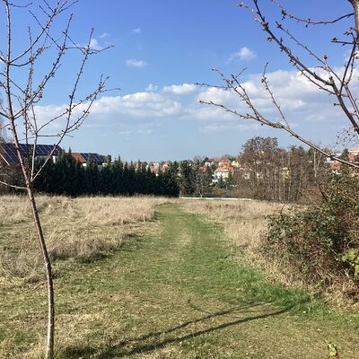 Bild vergr&ouml;&szlig;ern: Erdmann-Neumeister-Stra&szlig;e 1_2