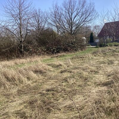 Bild vergr&ouml;&szlig;ern: Erdmann-Neumeister-Stra&szlig;e 1_4