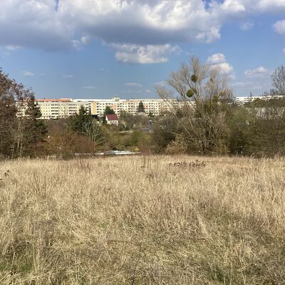 Bild vergr&ouml;&szlig;ern: Erdmann-Neumeister-Stra&szlig;e 4_1