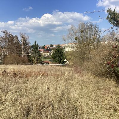Bild vergr&ouml;&szlig;ern: Erdmann-Neumeister-Stra&szlig;e 4_3