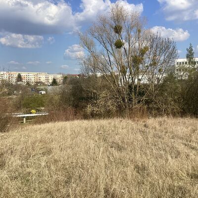 Bild vergr&ouml;&szlig;ern: Erdmann-Neumeister-Stra&szlig;e 5_1