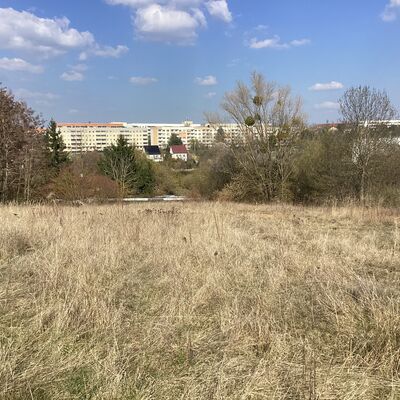 Bild vergr&ouml;&szlig;ern: Erdmann-Neumeister-Stra&szlig;e 5_2
