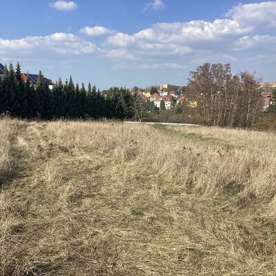 Bild vergr&ouml;&szlig;ern: Erdmann-Neumeister-Stra&szlig;e 6_2