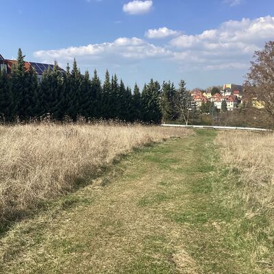 Bild vergr&ouml;&szlig;ern: Erdmann-Neumeister-Stra&szlig;e 6_3