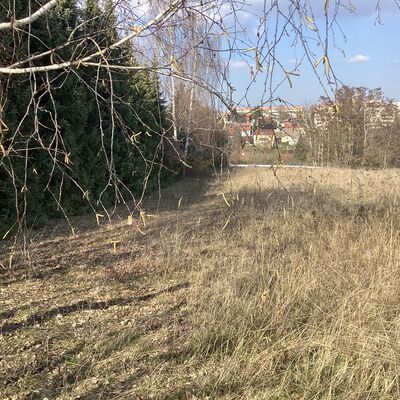 Bild vergr&ouml;&szlig;ern: Erdmann-Neumeister-Stra&szlig;e 7_1