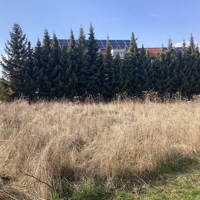 Bild vergr&ouml;&szlig;ern: Erdmann-Neumeister-Stra&szlig;e 7_5