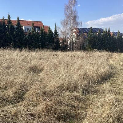 Bild vergr&ouml;&szlig;ern: Erdmann-Neumeister-Stra&szlig;e 8_2