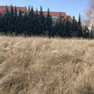 Bild vergr&ouml;&szlig;ern: Erdmann-Neumeister-Stra&szlig;e 8_3