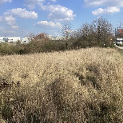 Bild vergr&ouml;&szlig;ern: Erdmann-Neumeister-Stra&szlig;e 9_1