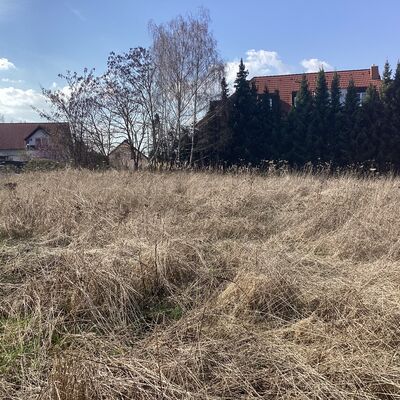 Bild vergr&ouml;&szlig;ern: Erdmann-Neumeister-Stra&szlig;e 9_2