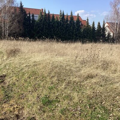 Bild vergr&ouml;&szlig;ern: Erdmann-Neumeister-Stra&szlig;e 9_3