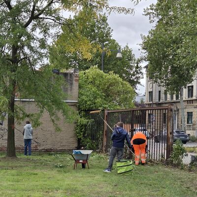 Bild vergr&ouml;&szlig;ern: Clean Up Day im Neustadtpark