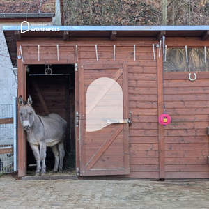 Bild vergr&ouml;&szlig;ern: Silversterfeuerwerk Heimatnaturgarten