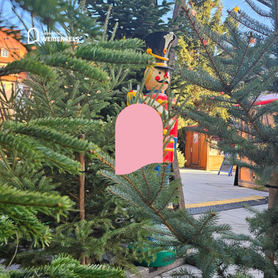 Bild vergr&ouml;&szlig;ern: Weihnachtsb&auml;ume werden verschenkt