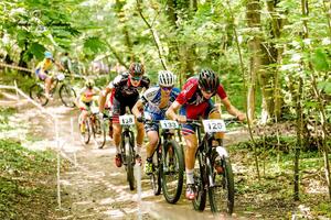 Bild vergr&ouml;&szlig;ern: Mountainbikerennen