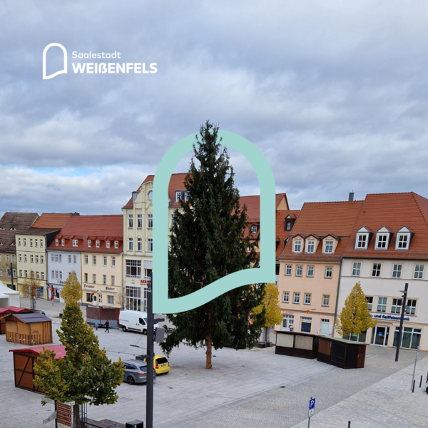 Weihnachtsbaum auf dem Weißenfelser Weihnachtsmarkt