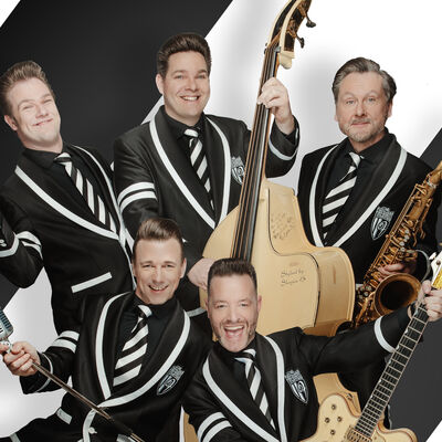 Bild vergrößern: The Firebirds - immer wieder ein musikalisches Erlebnis