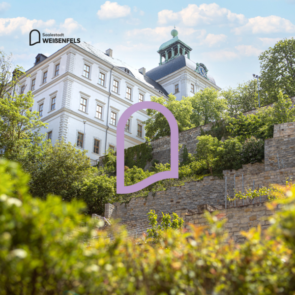 Herzogliche Weinterasse unterhalb des Schlosses Neu-Augustusburg