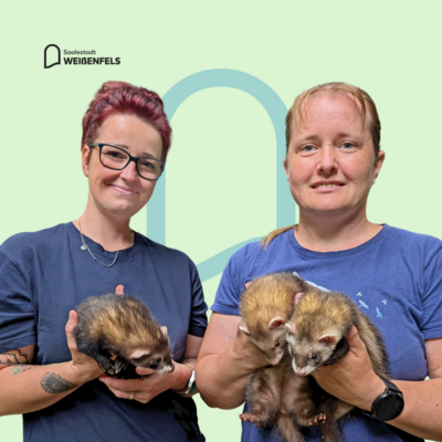 Bild vergrößern: Drei neue Mitbewohner im Heimatnaturgarten Weißenfels