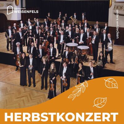 Bild vergr&ouml;&szlig;ern: Die Jenaer Philharmonie
