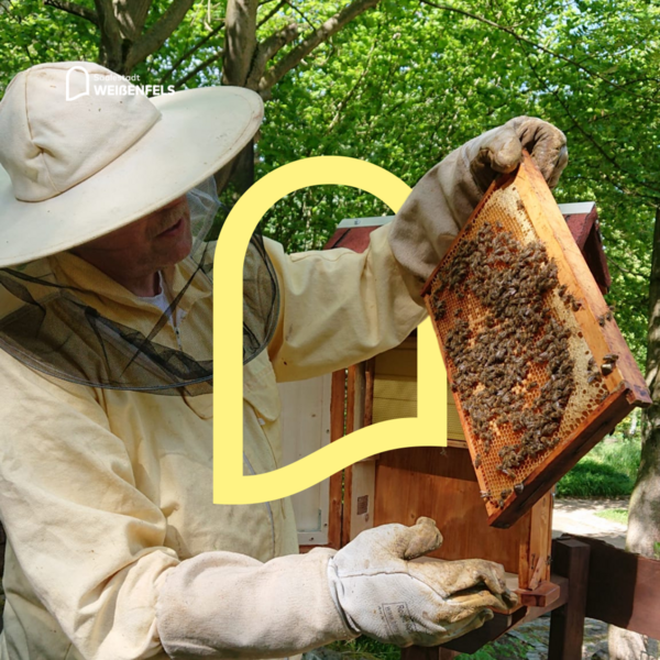 Bienenvolk im Heimatnaturgarten