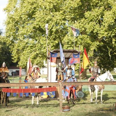 Bild vergrößern: Historischer Markt Ritterturnier