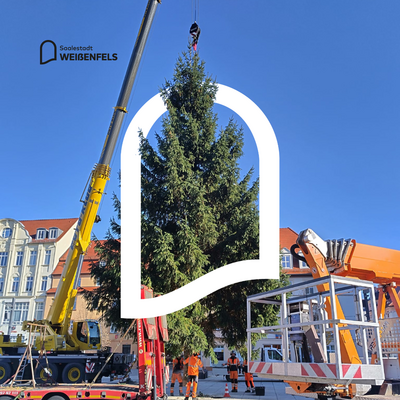 Bild vergr&ouml;&szlig;ern: Weihnachtsbaum 2025